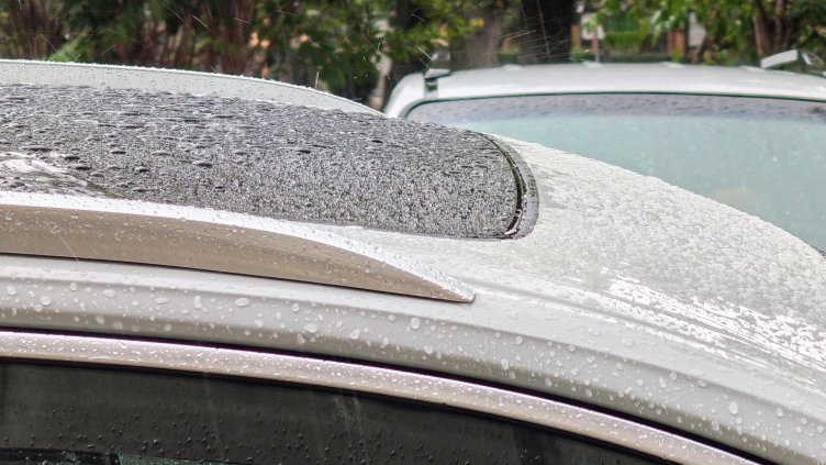 Снимка: архив, БГНЕС