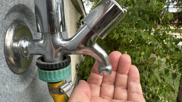 Снимка:БГНЕС