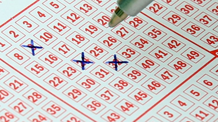 Снимка: Pixabay/Hermann