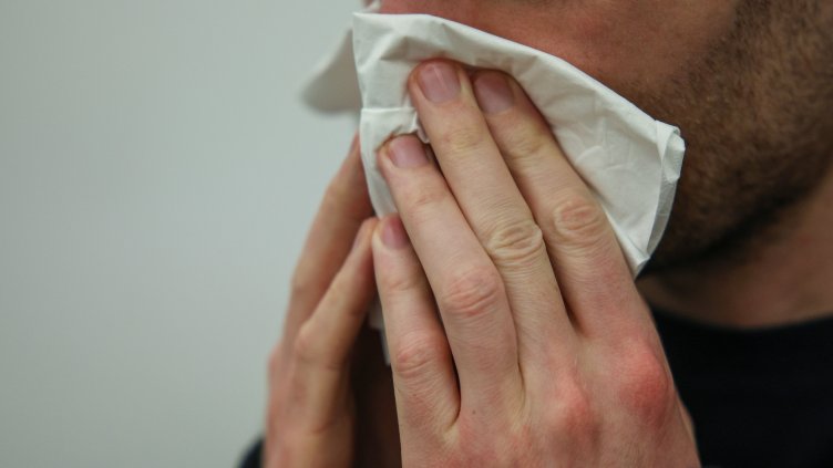 Снимка: архив, БГНЕС