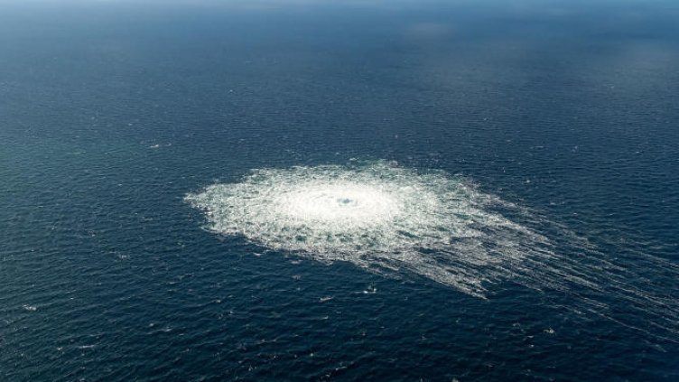 Снимка БГНЕС