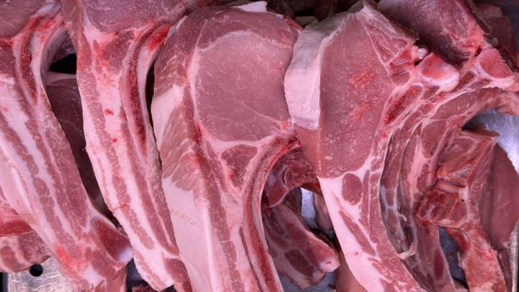 Снимка: архив, БГНЕС