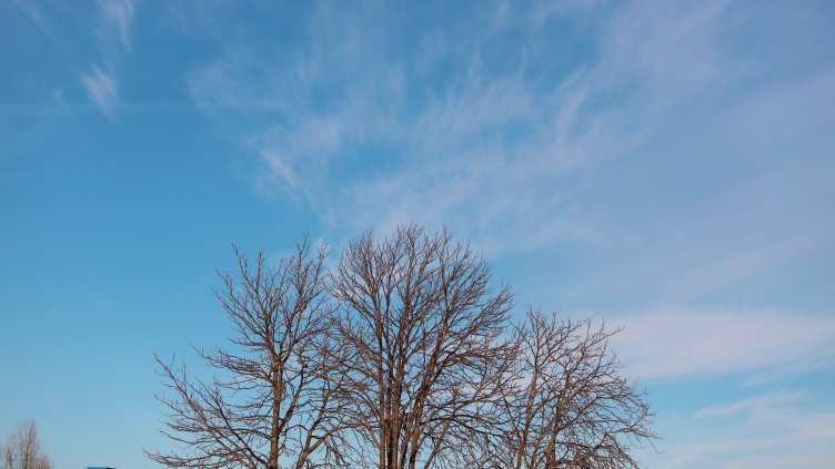 Снимка: архив, БГНЕС