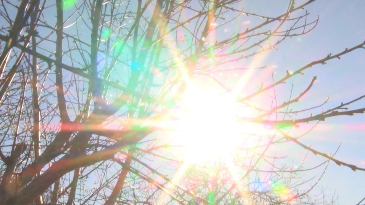 Снимка: архив, БГНЕС