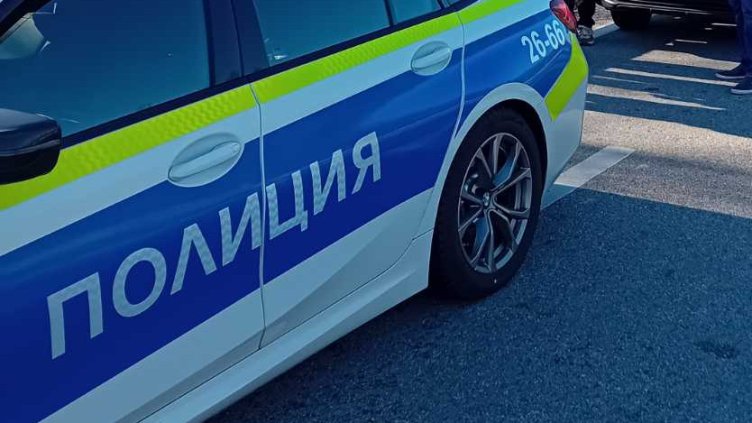 Снимка: архив, БГНЕС