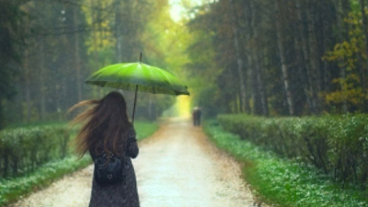 Снимка Пиксабей