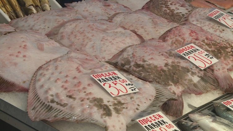 На север от Варна гъмжи от "украински" калкан, рибари вадят 10-килограмови