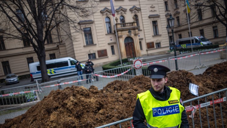 Снимка: архив, БГНЕС