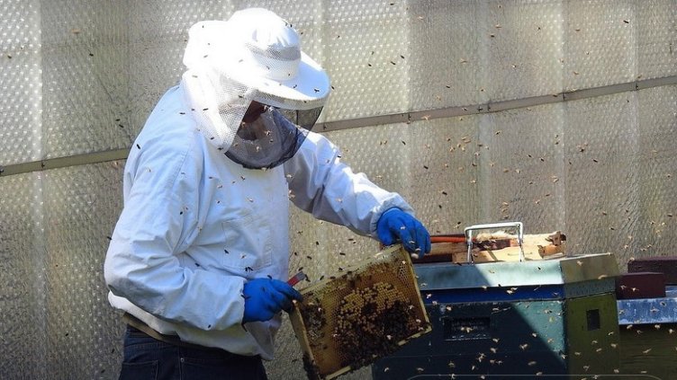 Снимка Пиксабей