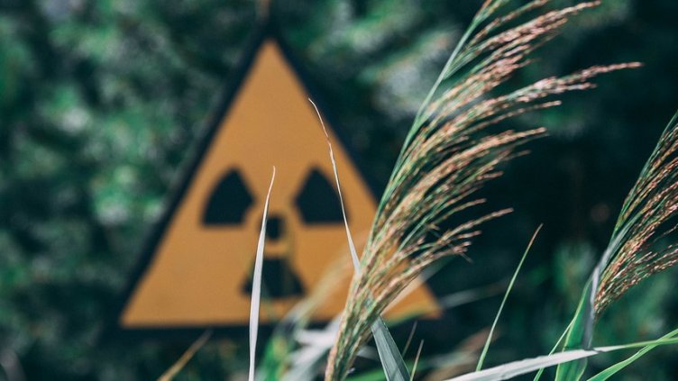 Снимка: Pixabay/ chriswanders