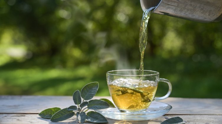 Снимка: istock