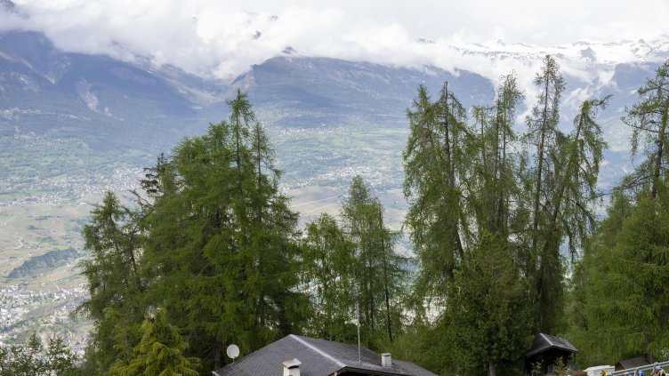 Снимка: БГНЕС/ЕРА