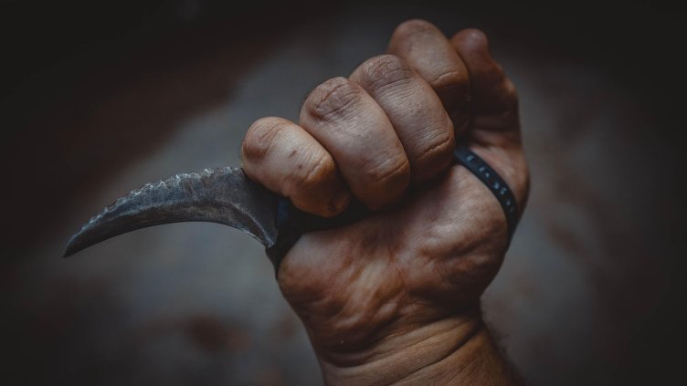 Снимка: Pixabay/ Mikewildadventure