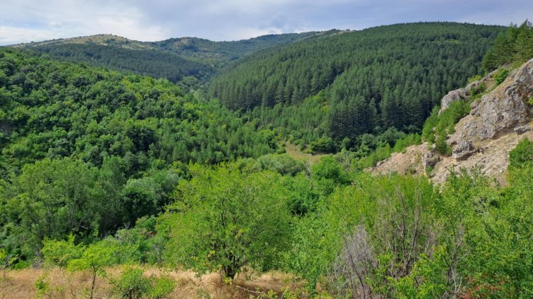 Снимка: архив, БГНЕС