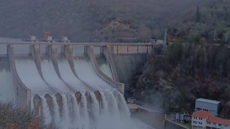 Яница Белошашка, Facebook