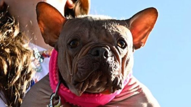 Снимка: Twitter/@GingerXgem