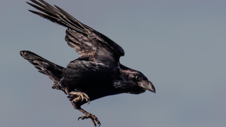 Снимка Пиксабей