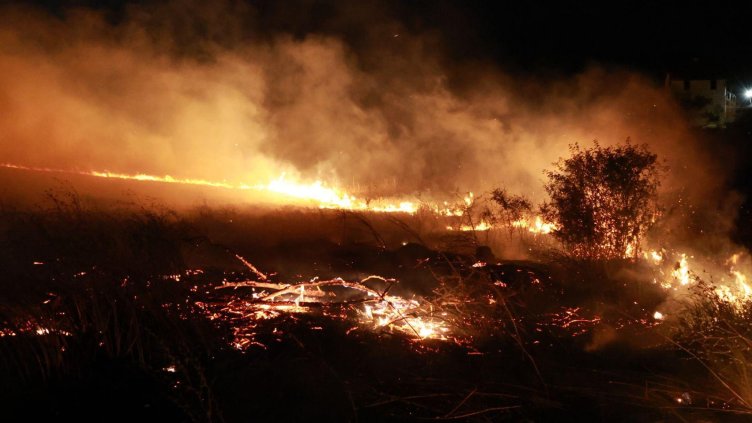 Снимка: архив, БГНЕС