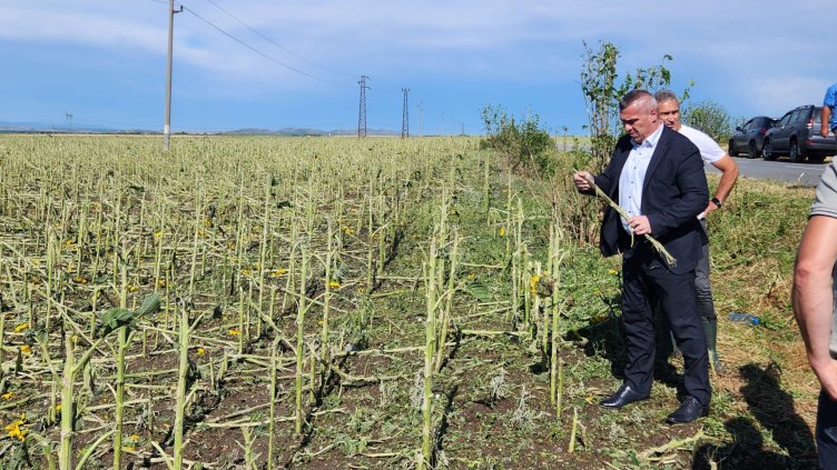 Снимка БГНЕС