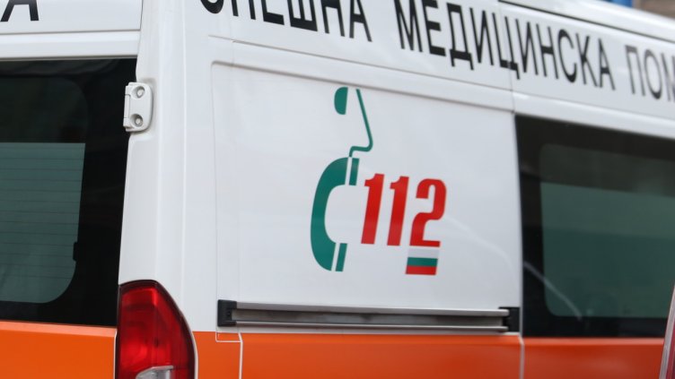 Снимка: архив, БГНЕС