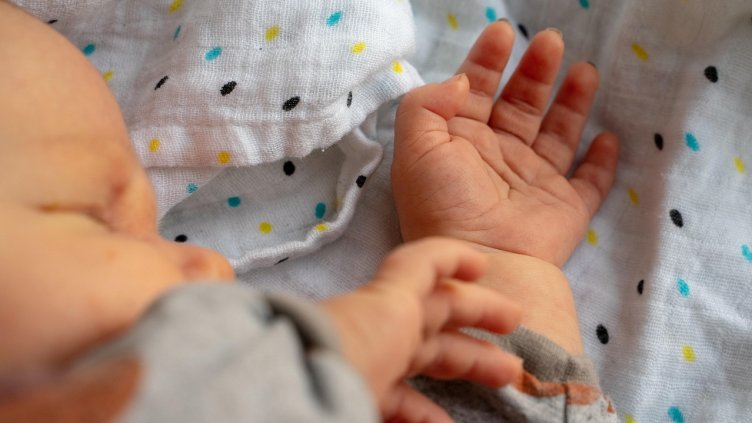 Снимка: Pixabay/ThorstenF