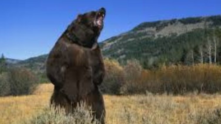 Снимка Пиксабей