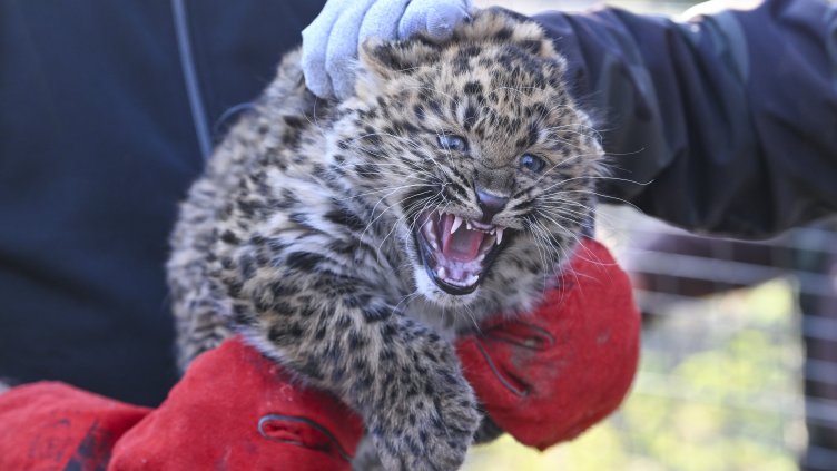 Снимка: БГНЕС/ EPA