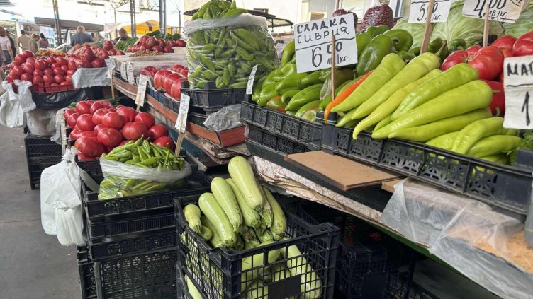 Снимка: архив, БГНЕС