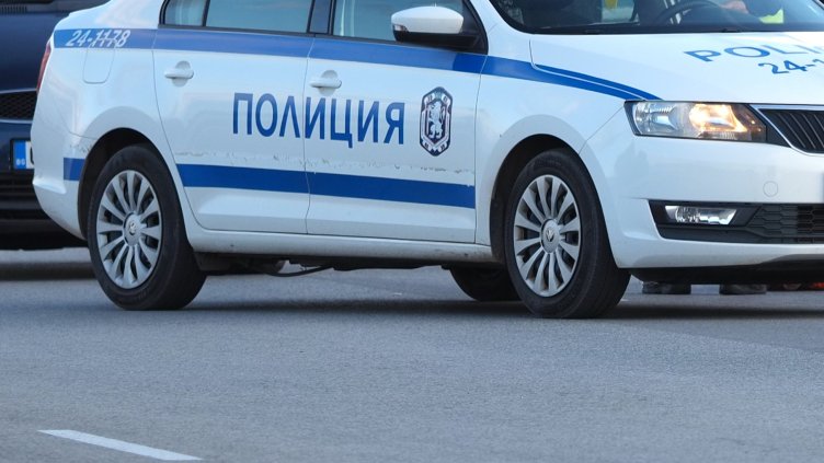 Снимка: архив, БГНЕС