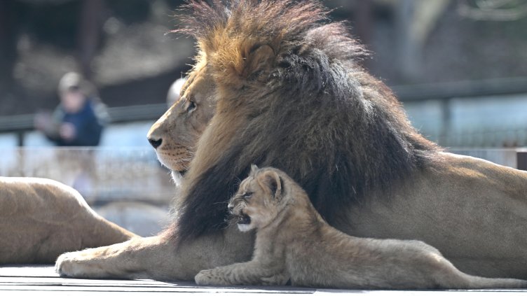 Снимка: архив, БГНЕС