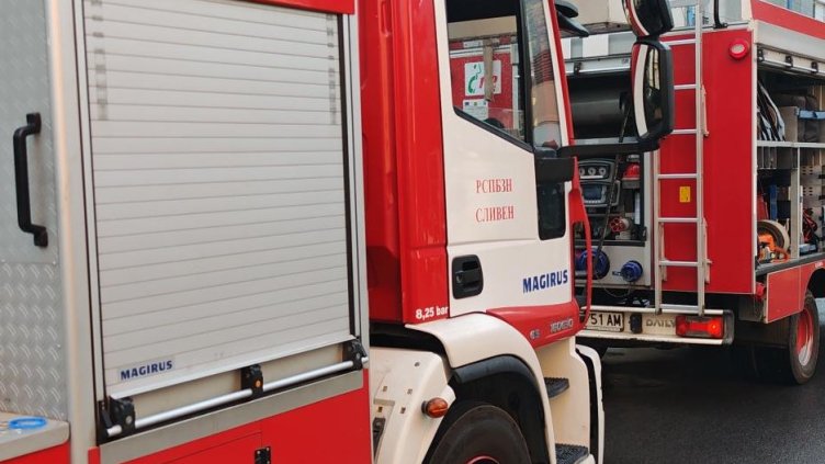 Снимка: архив, БГНЕС