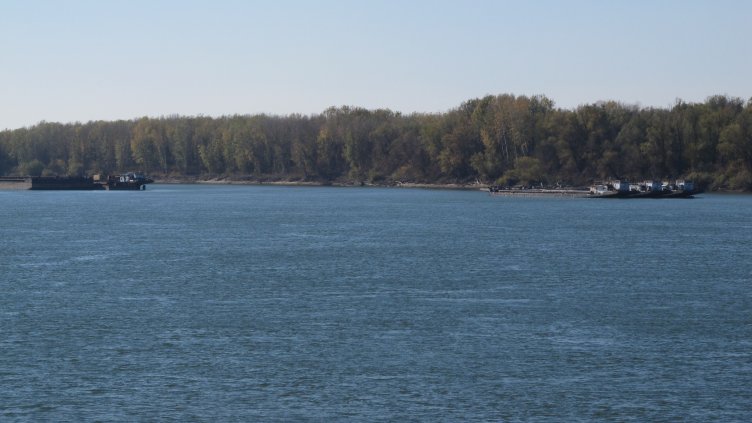 Снимка: архив, БГНЕС