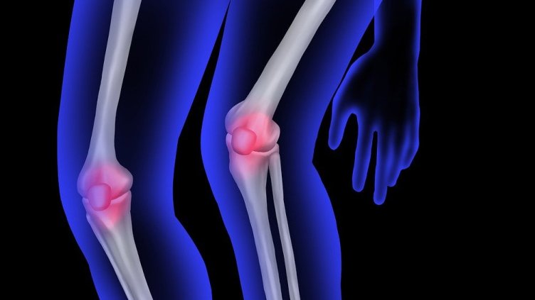 Снимка: Pixabay