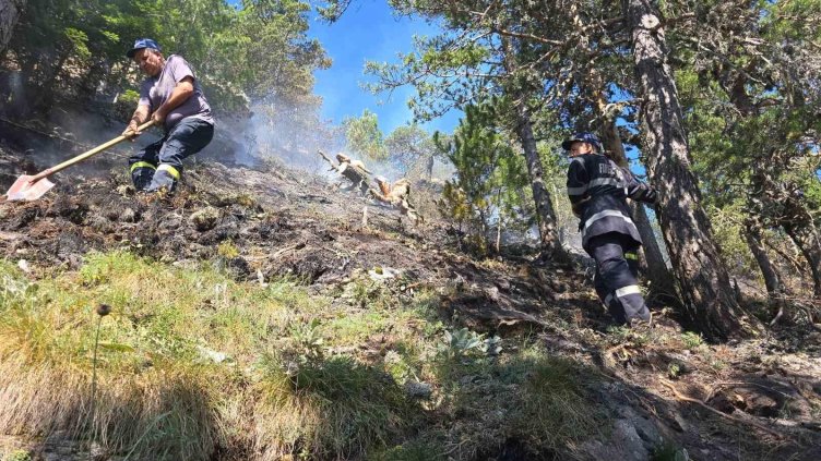 Снимка БГНЕС