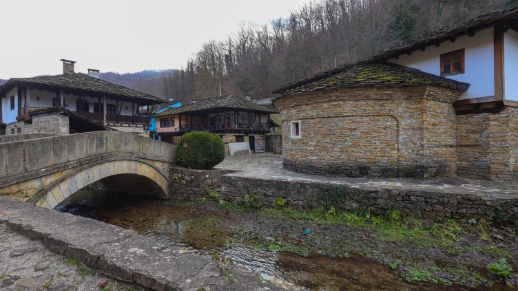 Снимка: БГНЕС