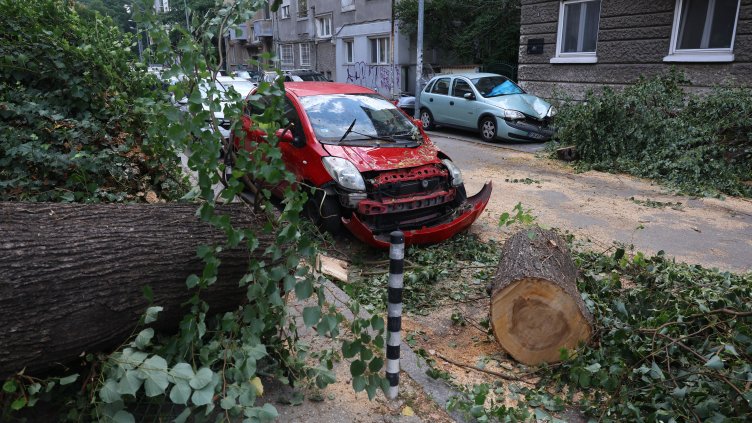 Снимка: БГНЕС