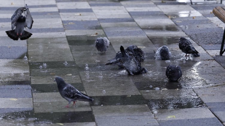 Снимка: БГНЕС/ EPA