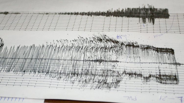 Снимка: архив, БГНЕС