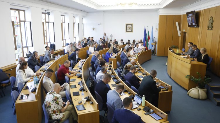 Снимка: архив, БГНЕС