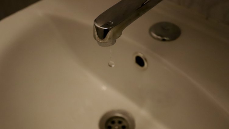 Снимка: архив, БГНЕС