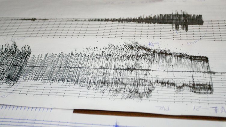 Снимка: архив, БГНЕС