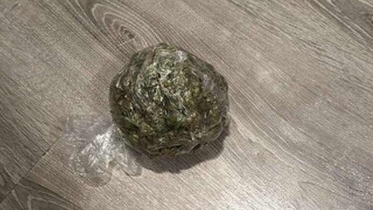 Снимка: МВР