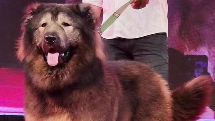 Снимка Instagram/@blythe