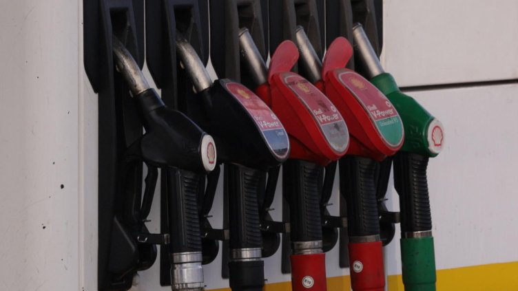 Снимка: архив, БГНЕС