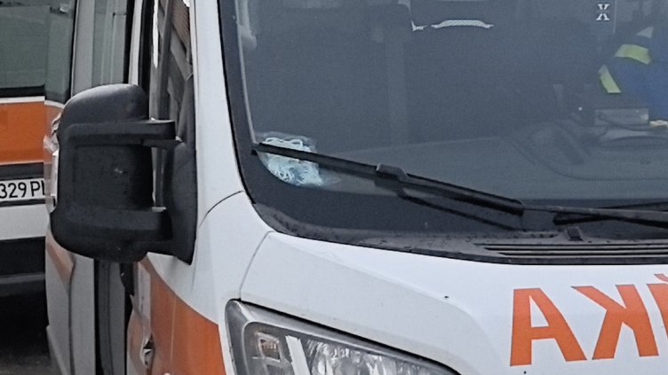 БГНЕС, архив