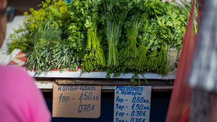 Димитър Кьосемарлиев, Dnes.bg