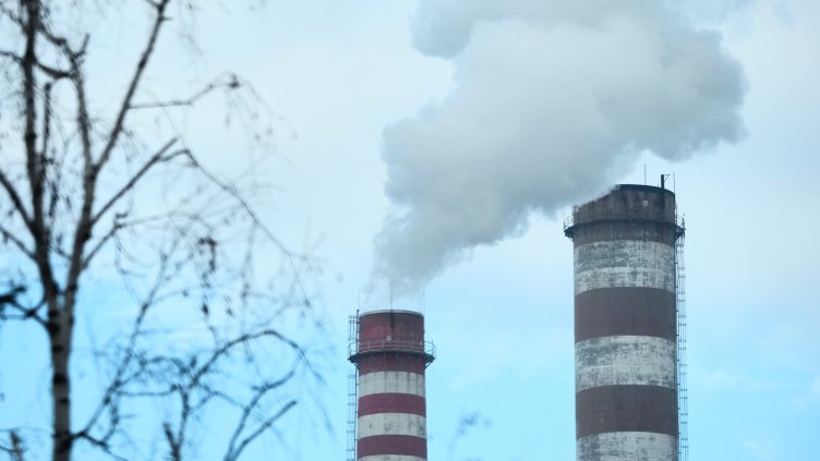 БГНЕС, архив