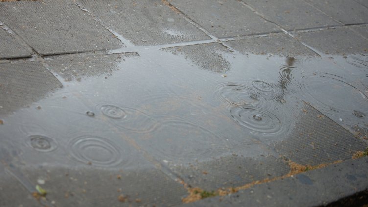 Снимка: архив, БГНЕС