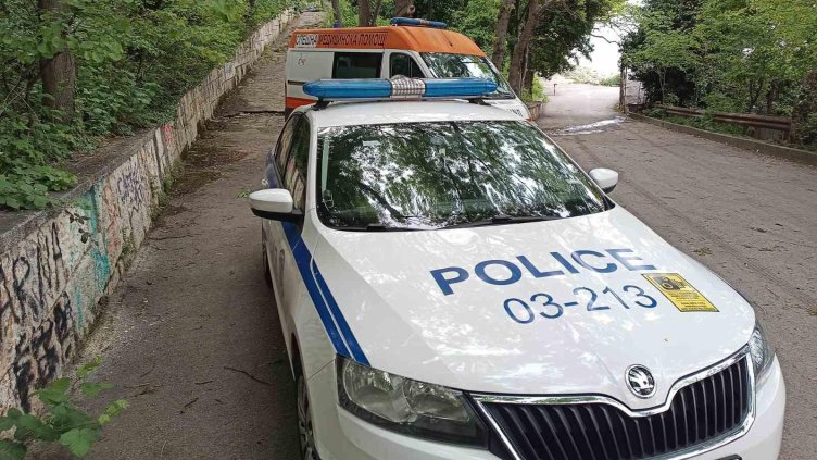 Снимка: БГНЕС