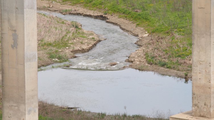 БГНЕС, архив